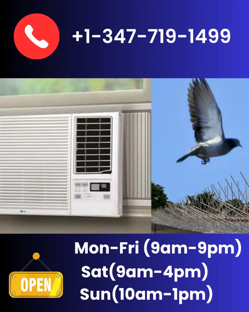 NYC Pigeon Air Conditioner