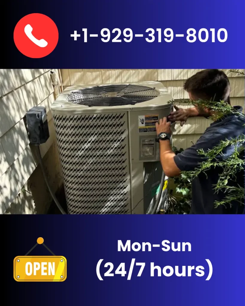 NYC Pigeon Air Conditioner